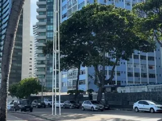 Imagem do imóvel AP53248