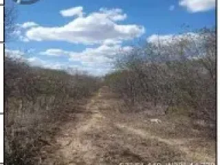 Imagem do imóvel IR56494