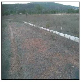 Imagem do imóvel TE25800