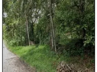 Imagem do imóvel TE70157