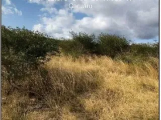 Imagem do imóvel TE59120