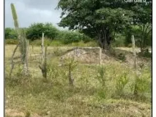 Imagem do imóvel TE96768