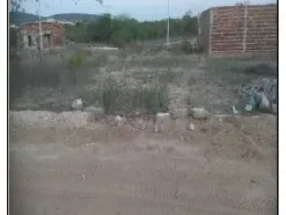 Imagem do imóvel TE81747