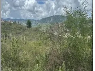 Imagem do imóvel TE38346