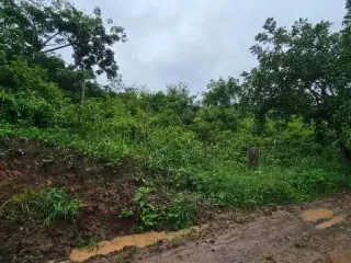 Imagem do imóvel TE47794