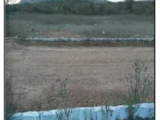 Imagem do imóvel TE71955