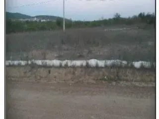Imagem do imóvel TE73611