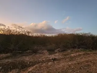 Imagem do imóvel TE59556
