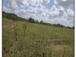 Imagem do imóvel TE97245